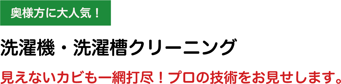 洗濯機クリーニング